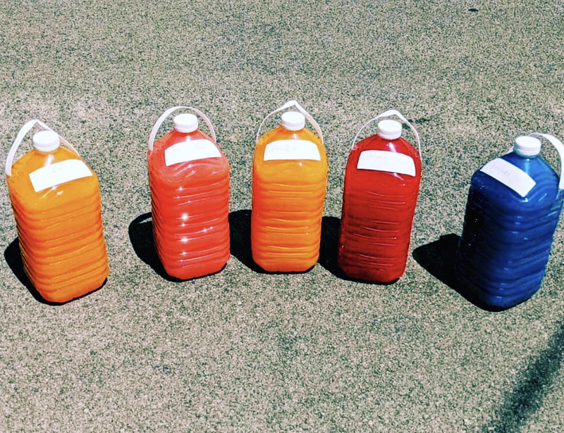 DIY Drink 2 Shrink Detox Juice